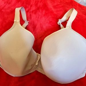 Elomi molded cup bra 36J
